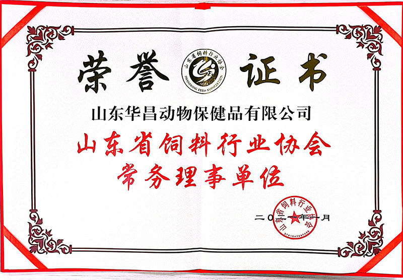山东省常务理事.jpg